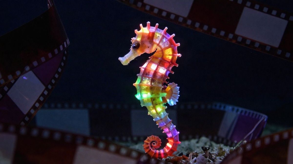 Illustrative image: a seahorse made of RGB lights surrounded by film strips on a dark background.