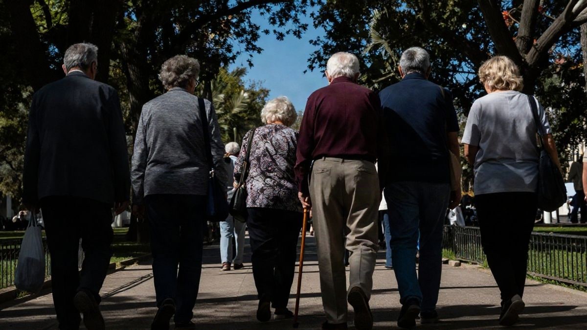 Imagen ilustrativa: grupo de personas mayores caminando en un parque soleado, vistas de espaldas