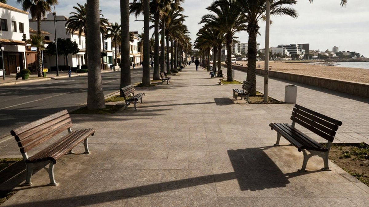 Imagen ilustrativa: paseo costero soleado con bancos vacíos y palmeras al atardecer