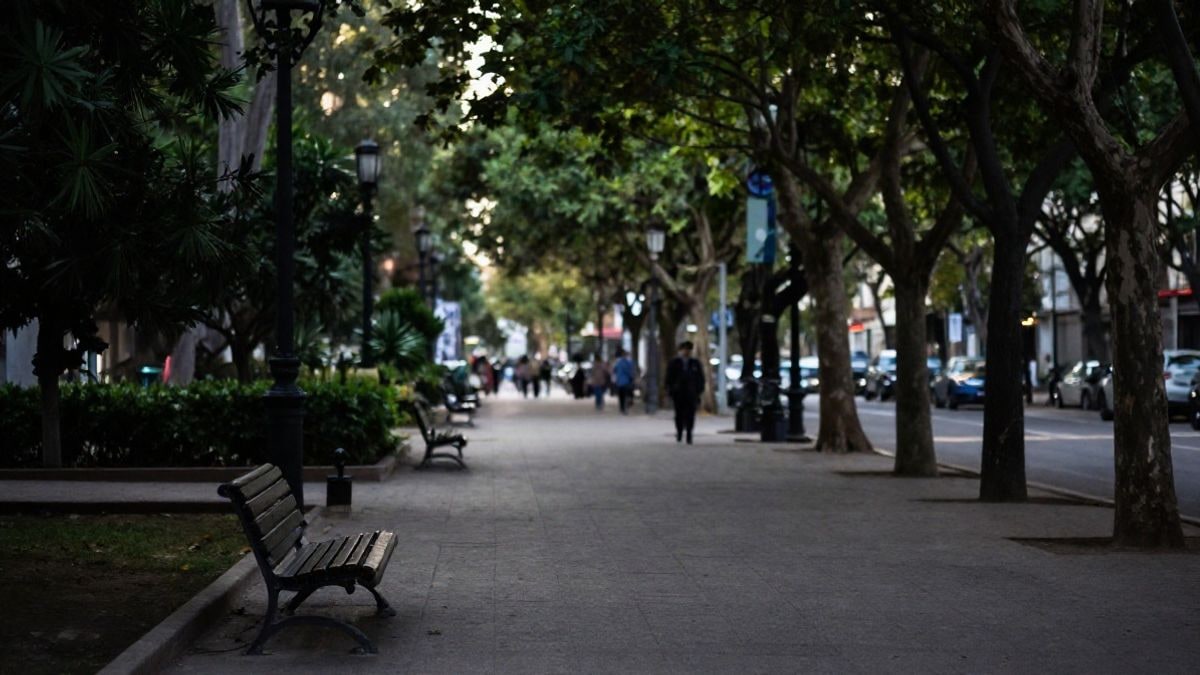 Imagen ilustrativa: paseo urbano arbolado y vacío en una mañana soleada