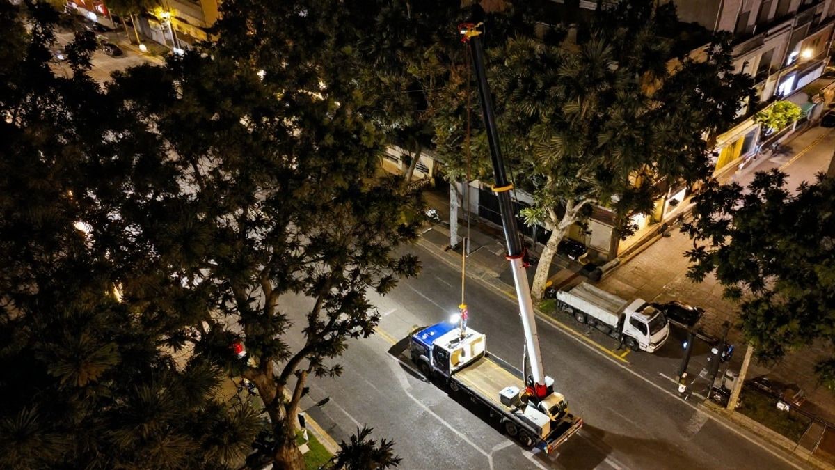 Imagen ilustrativa: vista cenital de un árbol adulto siendo elevado por una grúa en una mediana urbana durante la noche