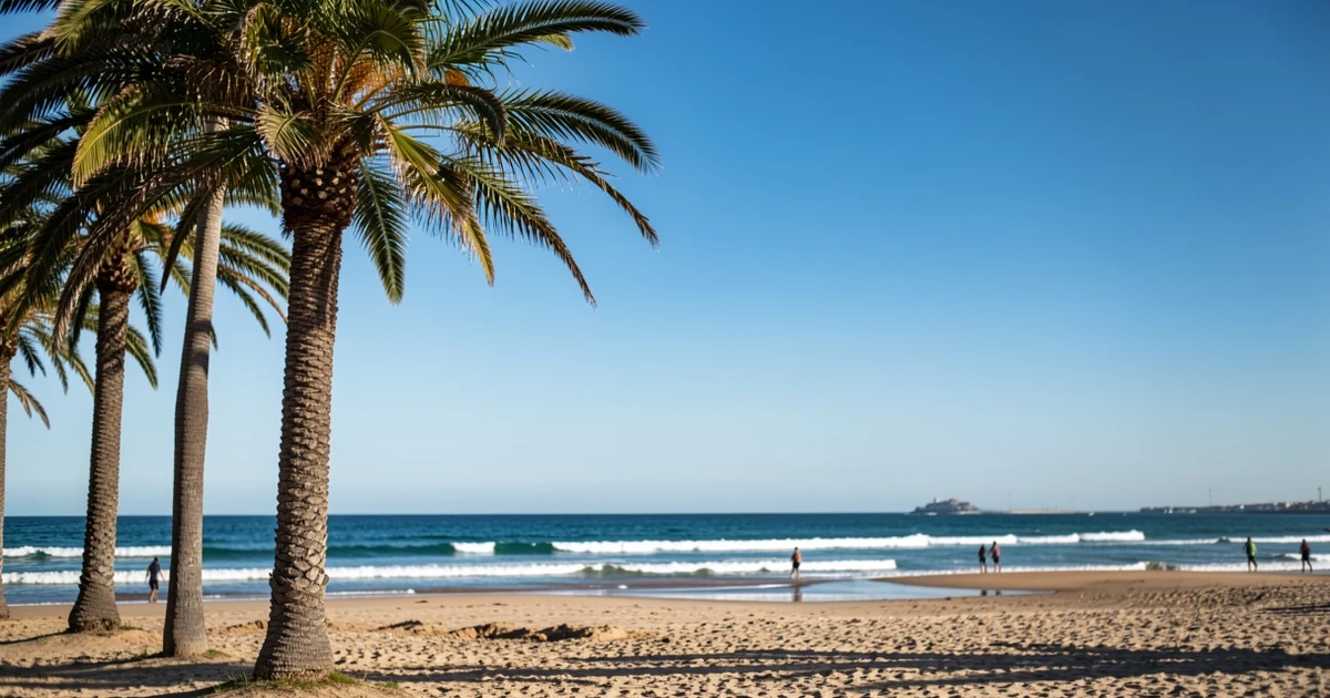 Playa de Estepona con cielo despejado y palmeras