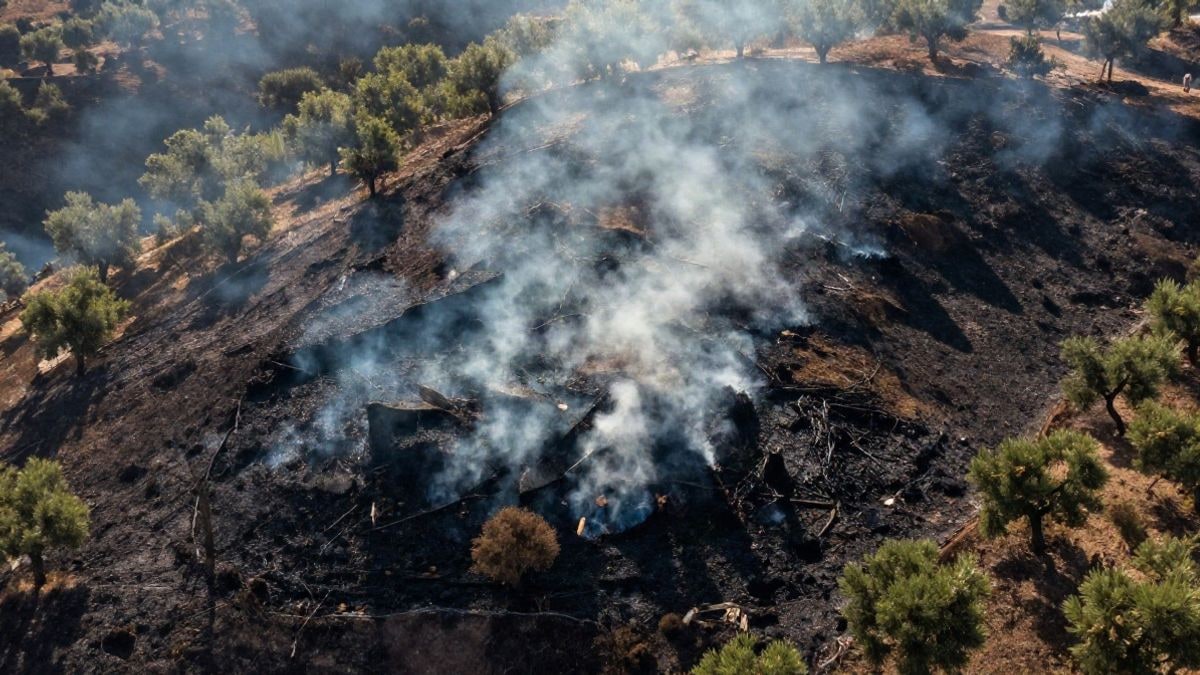 Imagen ilustrativa: vista aérea de una ladera con vegetación quemada y humo en una zona rural.