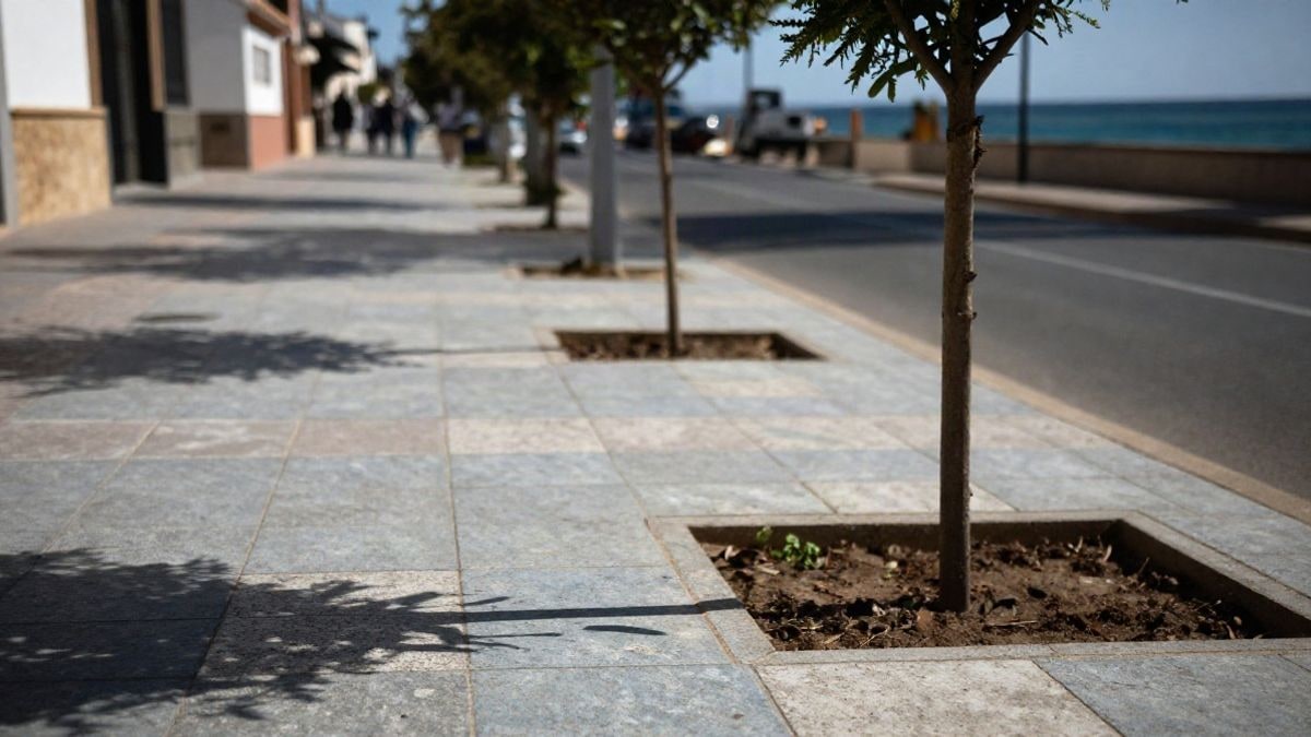 Imagen ilustrativa: acera recién pavimentada con un árbol joven en un entorno urbano costero