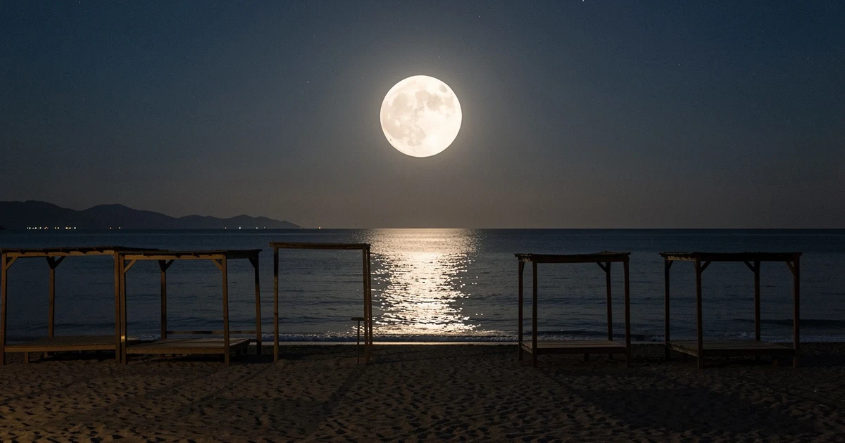 Playa de Marbella de noche con la luna llena reflejada en el mar y estructuras de madera