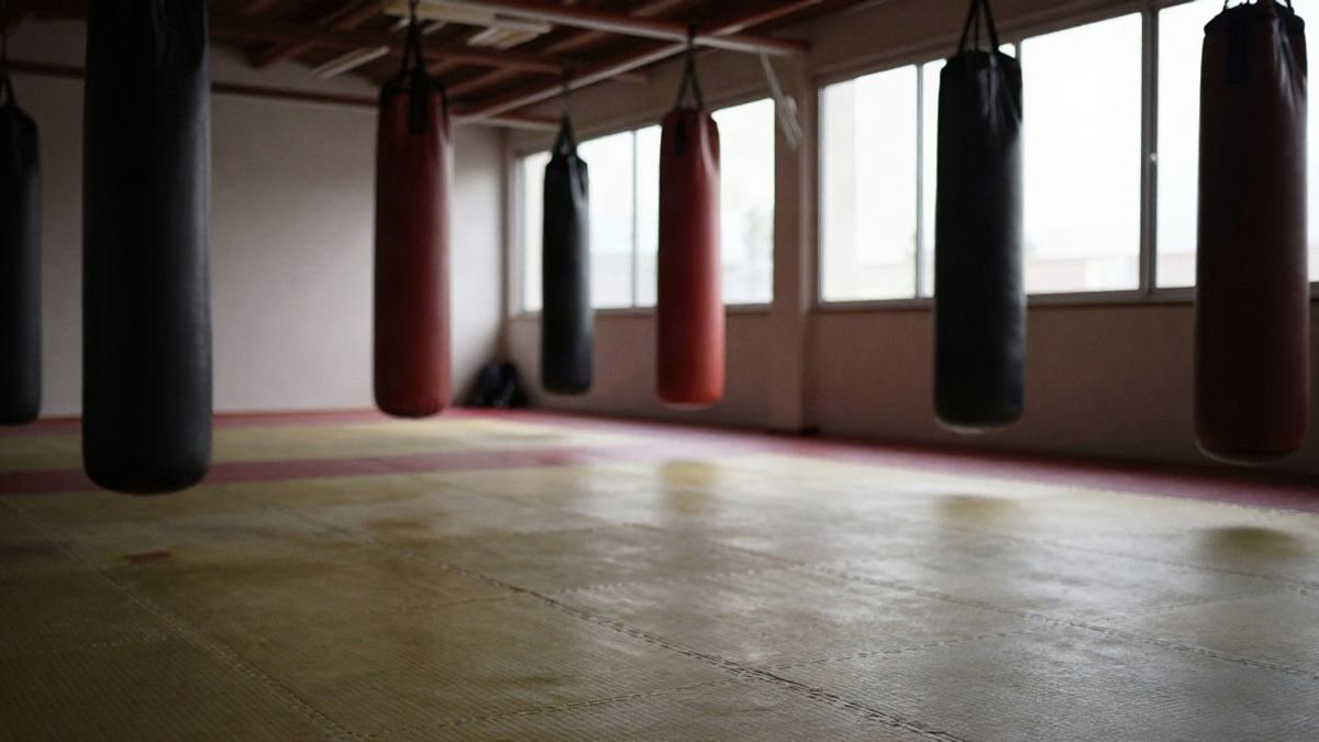 Imagen ilustrativa: sala de artes marciales con tatami y ventanas con luz natural