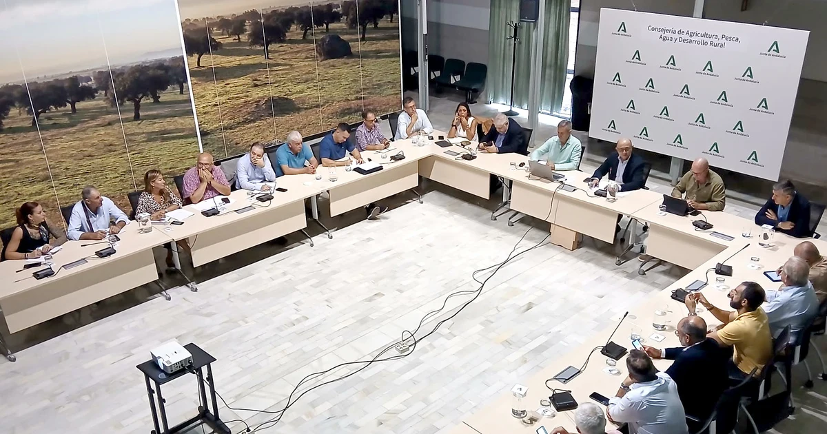 Andalucía prevé una producción de 2,11 millones de toneladas de cítricos en 2026-2027