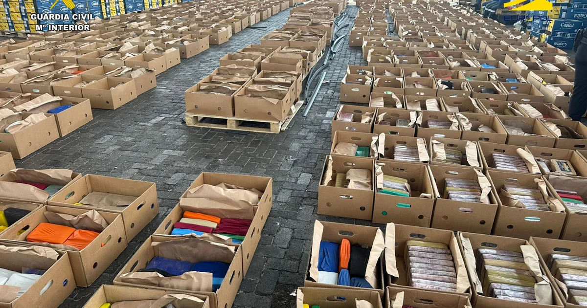 International drug trafficking organisation dismantled in Málaga