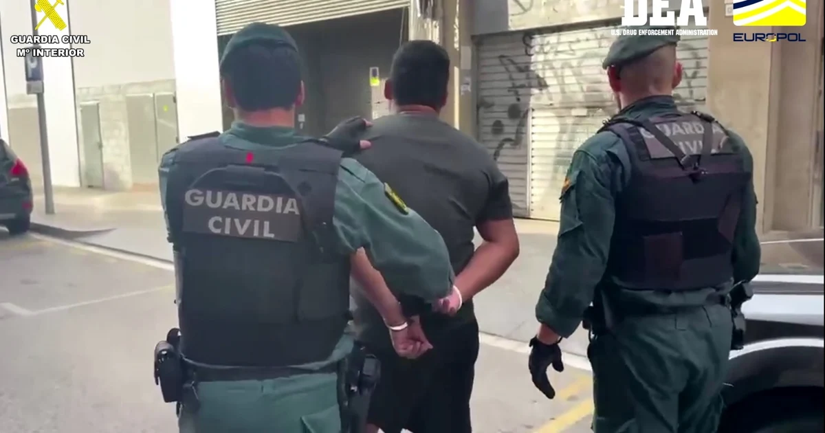Criminal network distributing cocaine in various cities in Spain dismantled