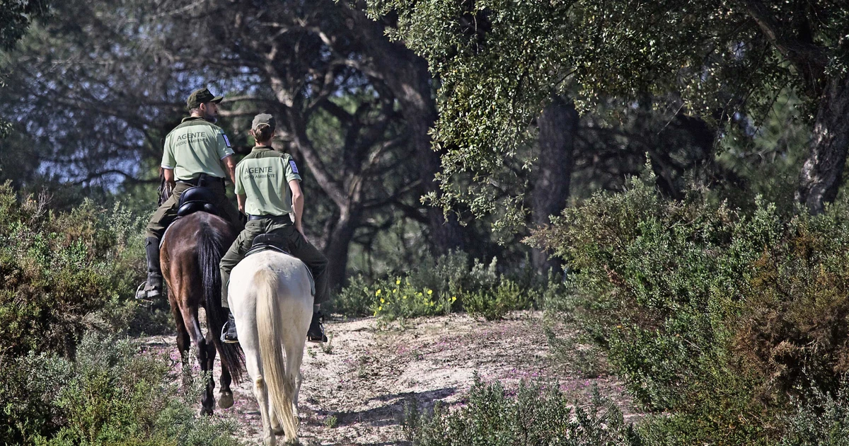 Andalusia presents new environmental legislation for the 21st century