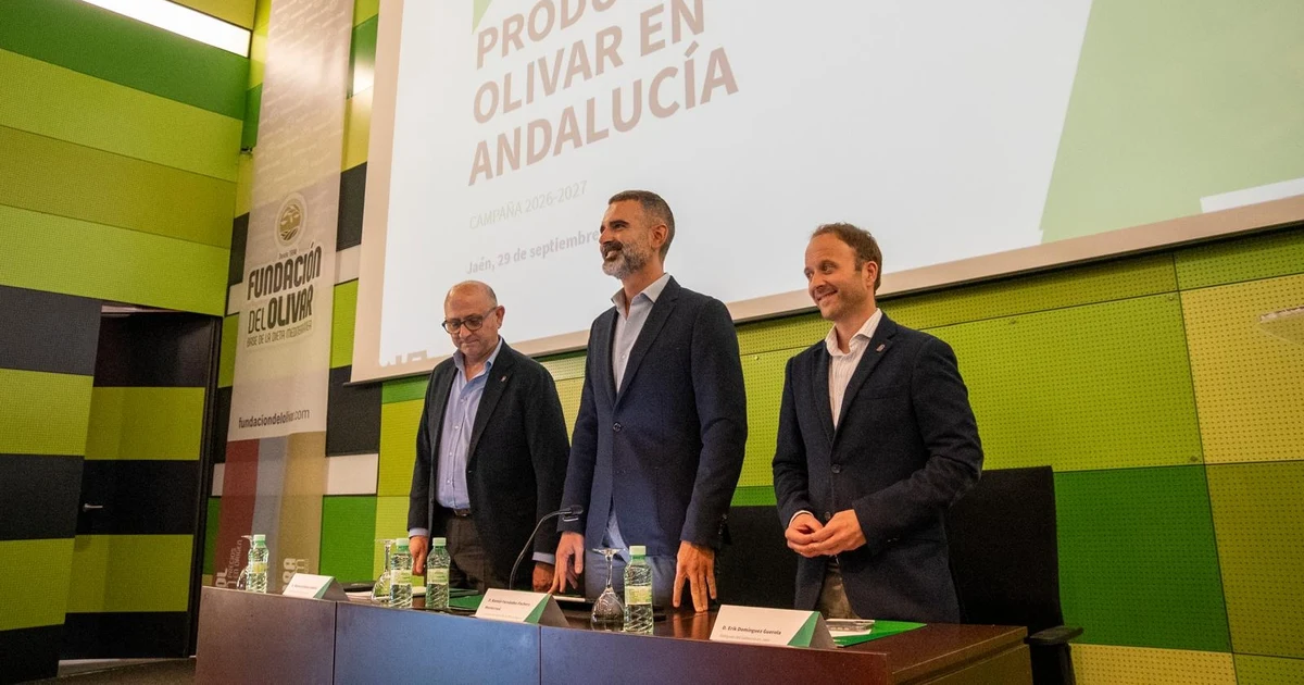 Málaga estimates a production of 63,373 tonnes of table olives for 2026-2027