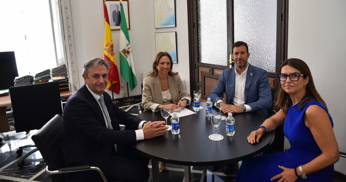 La Junta de Andalucía impulsa el Plan Ventilla para mejorar la red eléctrica en Málaga