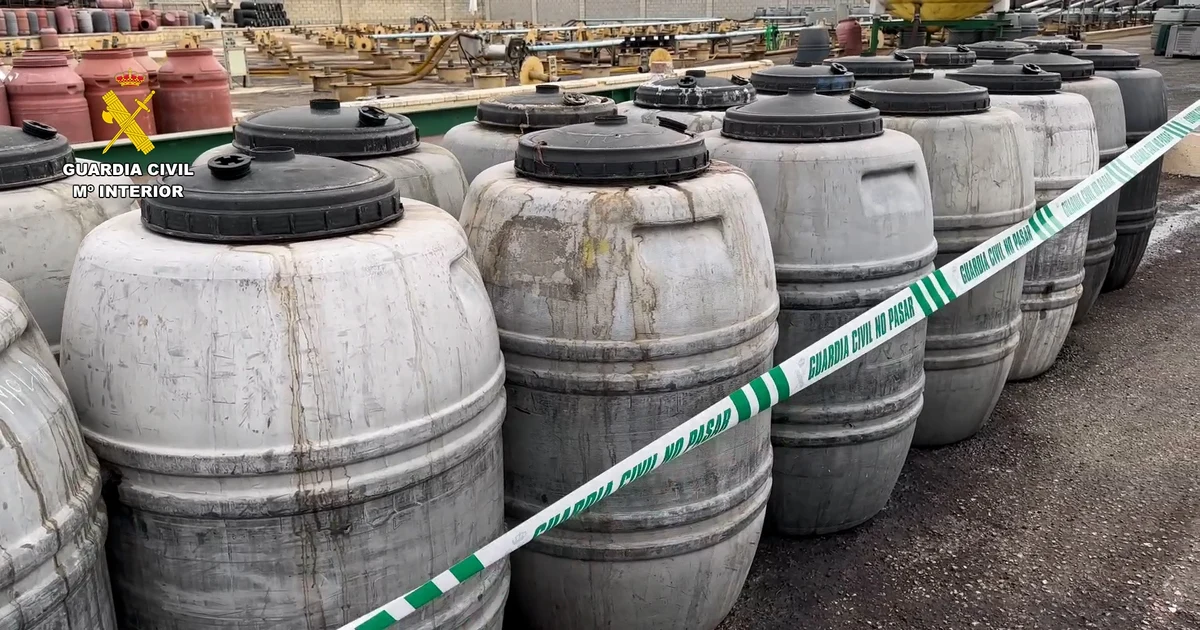Detenido por estafa a productores de aceituna en Sevilla y Huelva