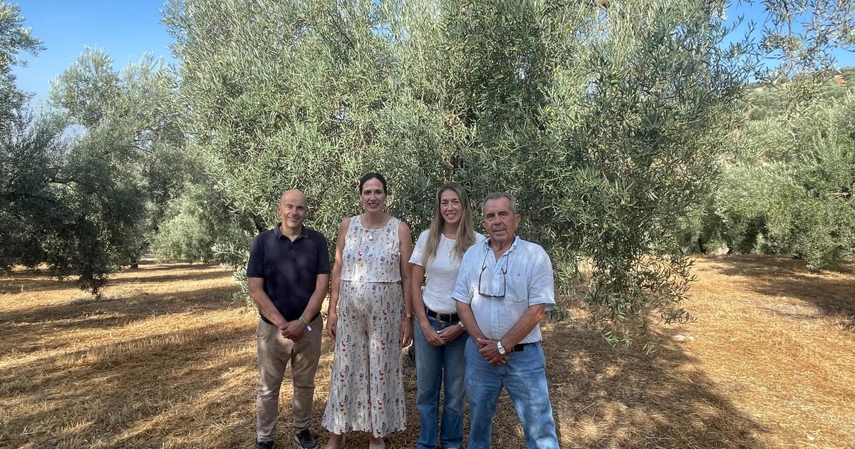 The Junta of Andalucía allocates 5.3 million for young farmers in Málaga