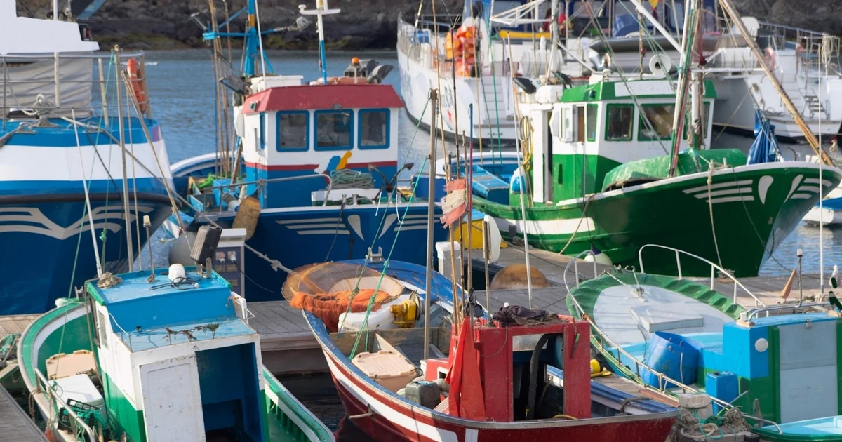 Nueva convocatoria de ayudas para el sector pesquero en Andalucía