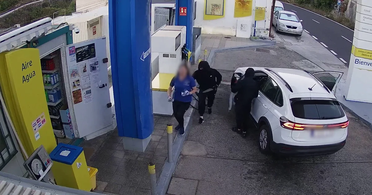 Eight members of a criminal organisation arrested in Tenerife for violent robberies