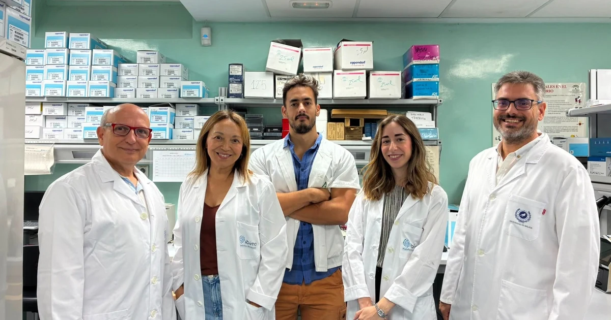 Investigadores en Málaga identifican un compuesto que mejora la memoria en Alzheimer