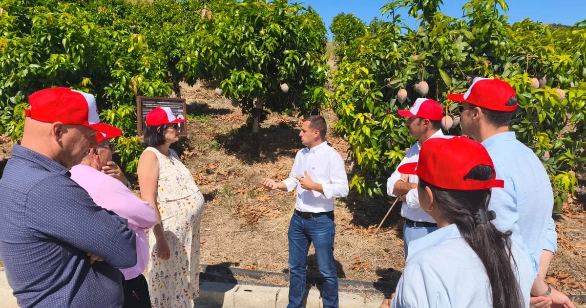 La delegada de Agricultura visita TROPS en el inicio de la campaña del mango en Málaga