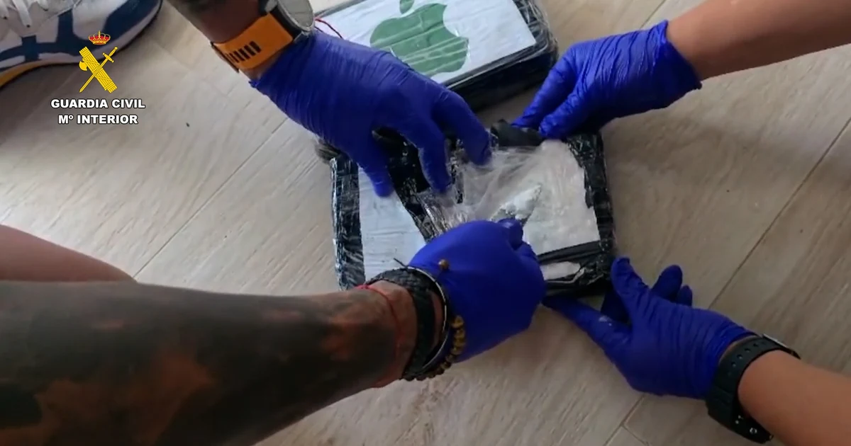 Desarticulada una organización de tráfico de cocaína en Málaga
