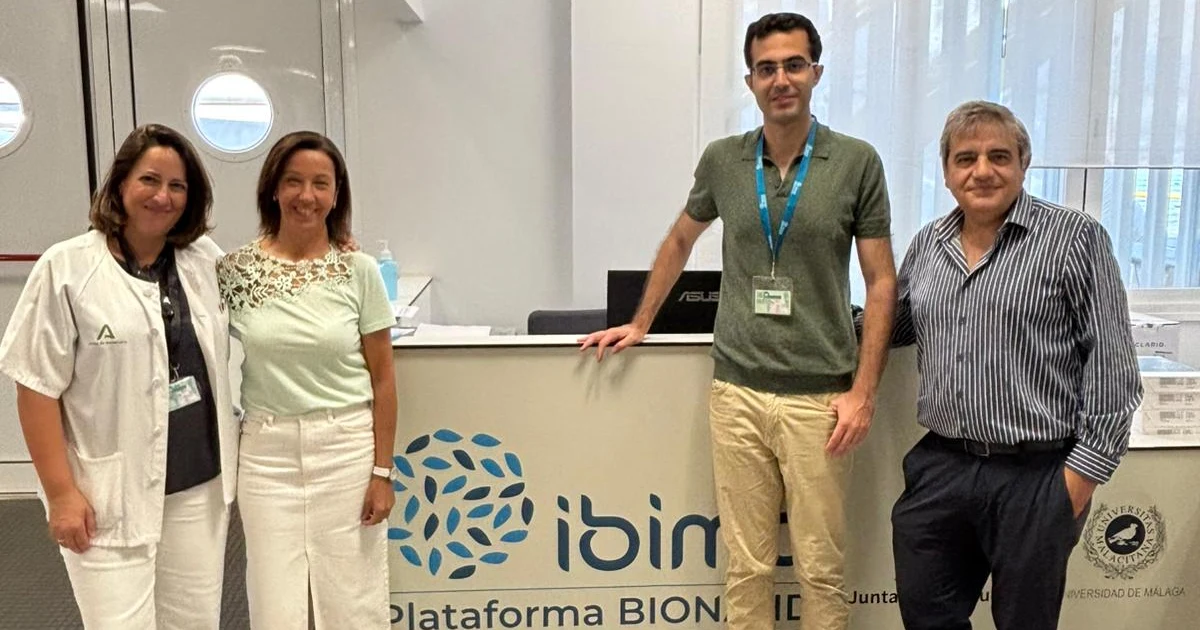Investigadores de Málaga analizan el papel del hígado en la remisión de diabetes tras cirugía de obesidad