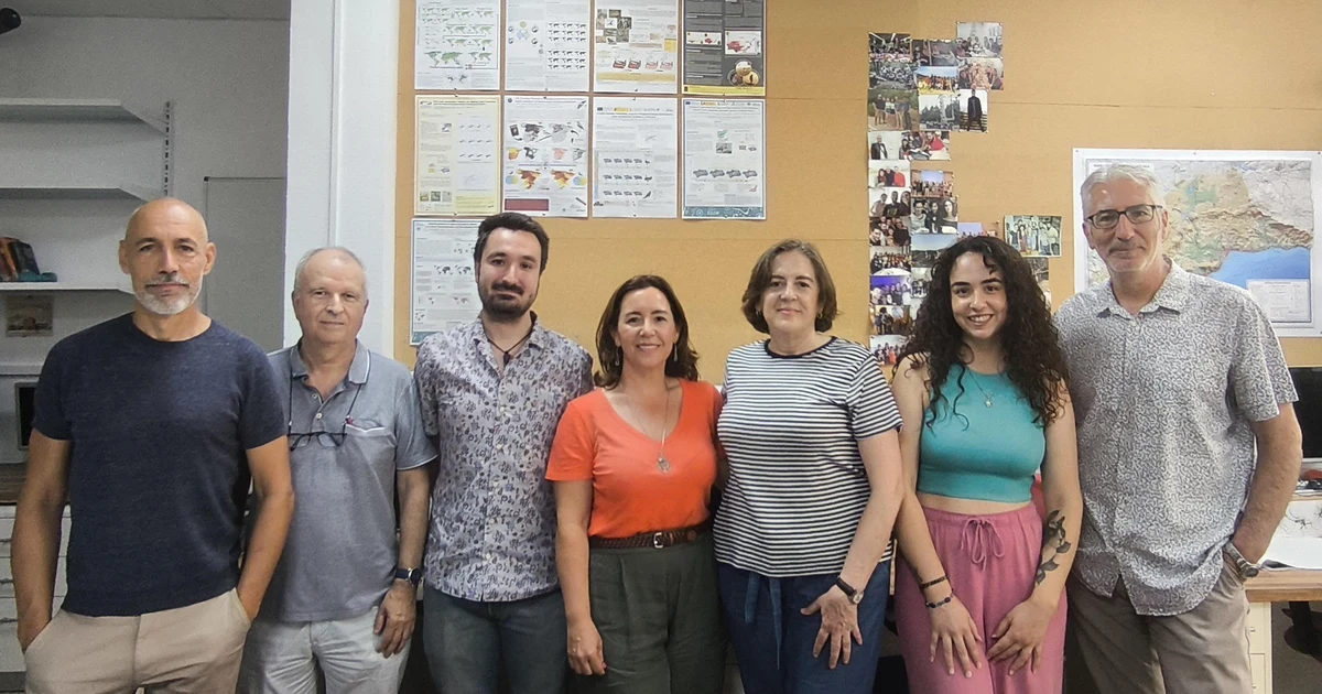 Research in Málaga confirms solar plants benefit various birds