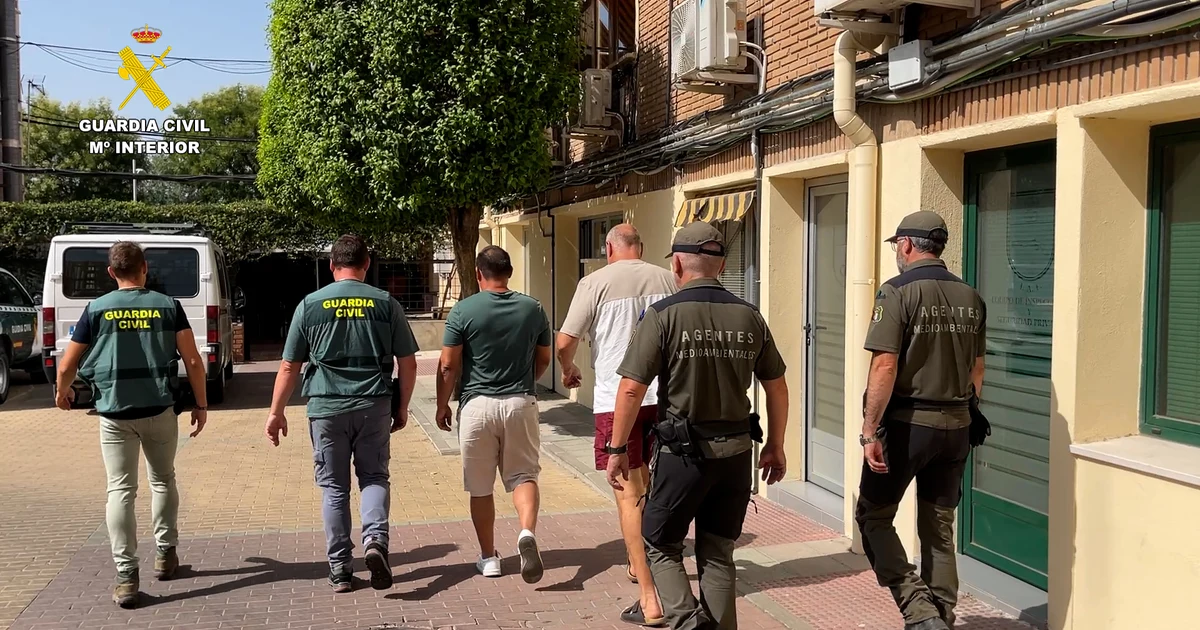 Two Arrested for the Almorox Forest Fire