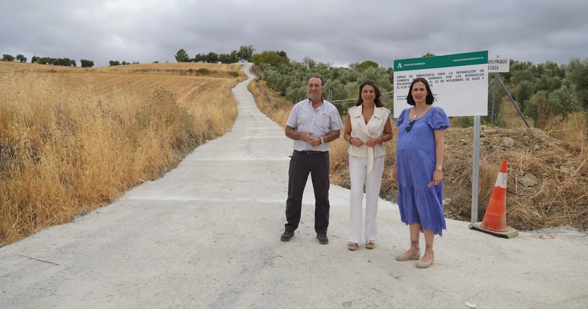 La Junta de Andalucía invierte más de 9,5 millones en la reparación de caminos rurales en Ronda