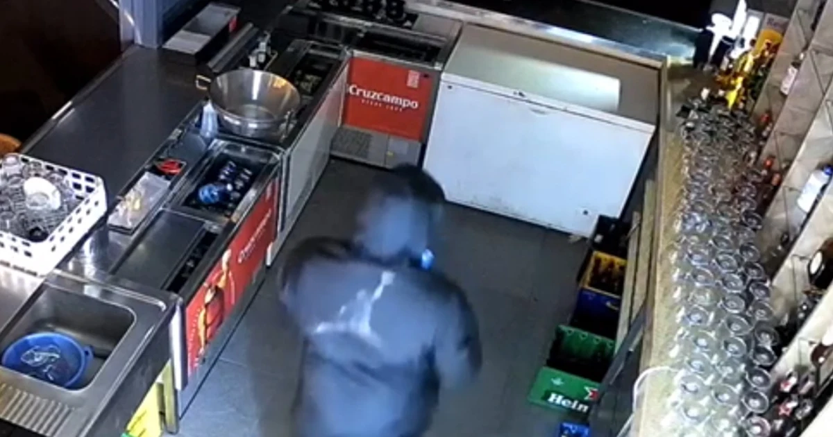 A criminal organisation involved in thefts from hospitality establishments in Andalusia has been dismantled