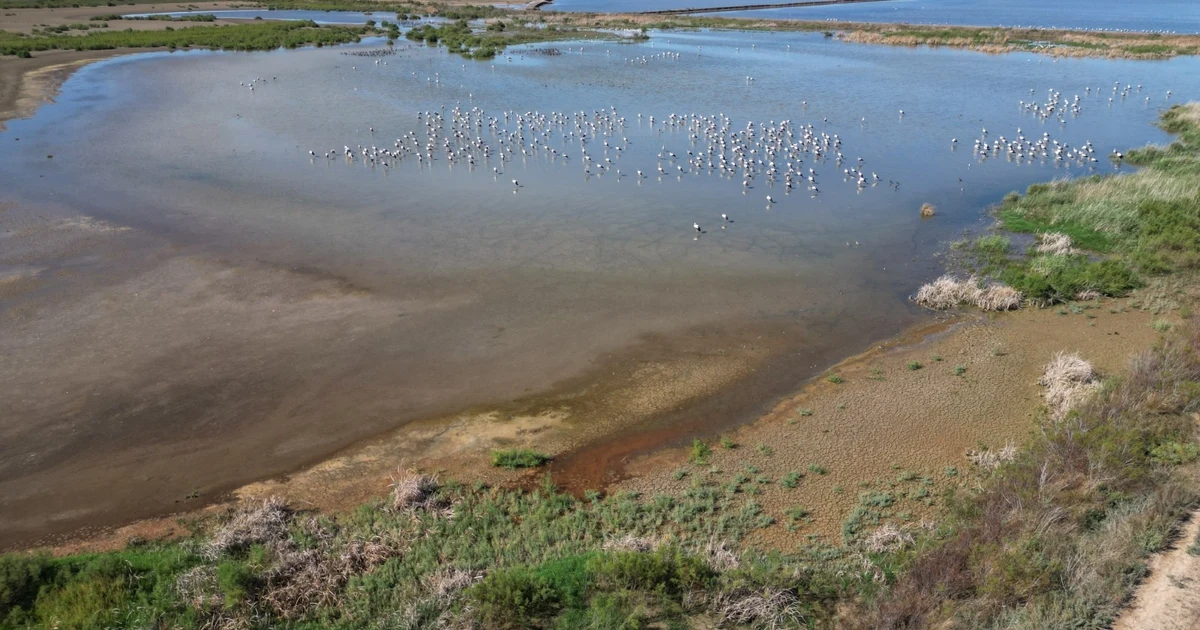 Andalucía invierte 86 millones en la conservación de humedales desde 2022