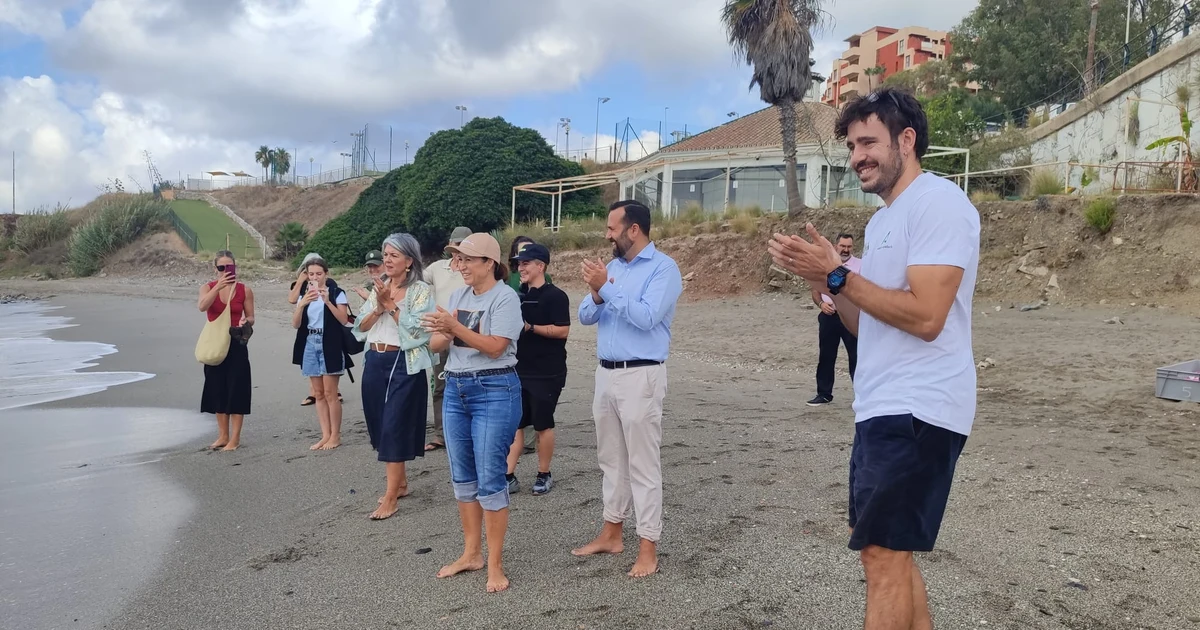 Liberación de la tortuga boba 'Pepa' en Benalmádena tras su recuperación