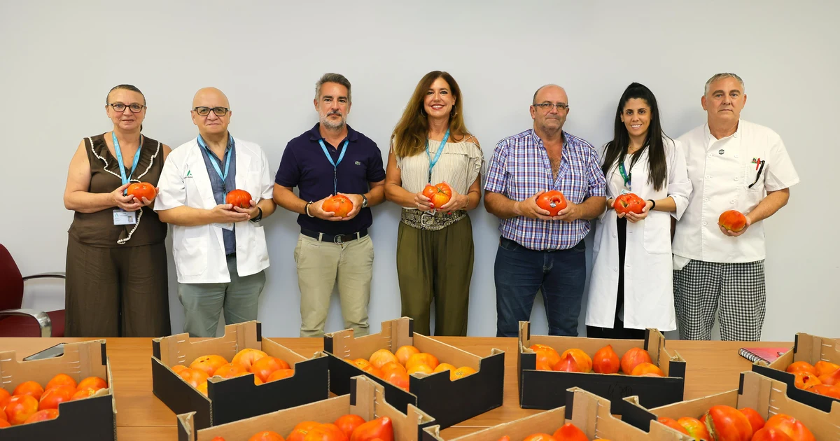 El Hospital Regional de Málaga incorpora el tomate Huevo de Toro en su menú